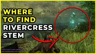 New World: Where To Find Rivercress Stem