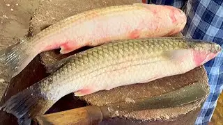 All Fish Cutting Skill | Fastest Hilsa-Rohu-Katla-Batta-Red Snapper-Prawns Cutting In Fish Market