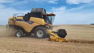 Moisson des orges de printemps 2020 Newhollandcx6090lat&eacute;rale, x2case, bennes brimont et delaplace...