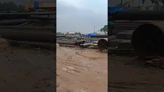 field work for MRPL project 2024