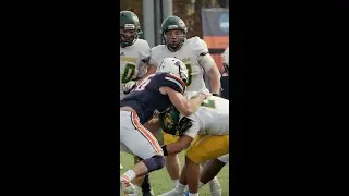 Next time on Animal Planet, how wolves ambush prey #savage #football #shorts