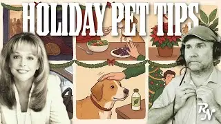 Holiday Pet Safety Tips with Dr Carol Osborne on Road Gang Radio