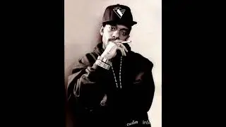 Prodigy Of Mobb Deep -over aunt dot 