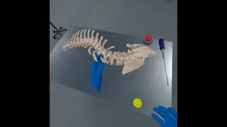 Open Ortho VR - A virtual reality orthopedic surgery simulator