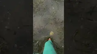 Florida Keys flooding after the Hurricane #shorts #hurricane