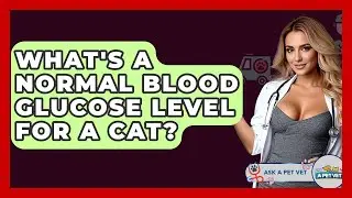 What's A Normal Blood Glucose Level For A Cat? - Ask A Pet Vet