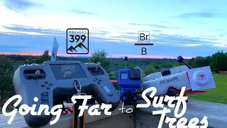 Tree Surfing | Project399 Super G Plus