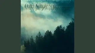 Pan Flute and Rain Relaxation