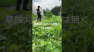 マキタポールヘッジトリマー両手ハンドル草刈り #PHT #草刈り #草刈機