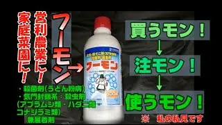 【農薬兼展着剤】あの「フーモン」 買うもん！→注もん！→使うもん！【気門封鎖系殺虫剤 アブラムシ類ハダニ類コナジラミ類に！】【家庭菜園】【アスパラガス】