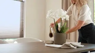 Orchidee verzorgingstip - Drie methodes om je orchidee water te geven
