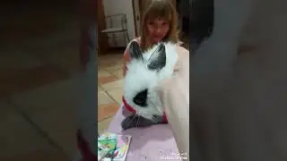 CUCCIOLATA NANI MINI TOY 🍼🍼🍼