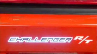 Auto Impact Gator Glass