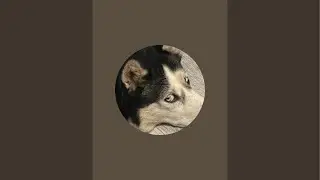 Beyond Michael is live!