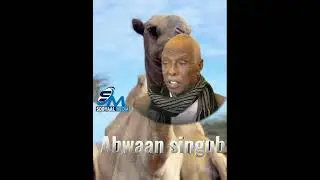 Gabay qiimo badan iyo Abwaan sangub.