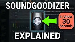 Soundgoodizer EXPLAINED (What Maximus is hiding)