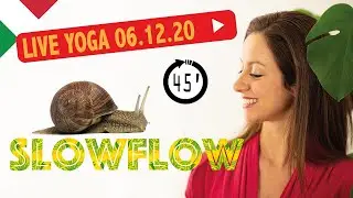 Slow Flow - Lezione di Yoga in diretta - 45 min