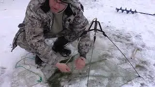 Ловля живца для щуки... 