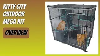 REVIEW (2026): Kitty City Outdoor Mega Kit. Features