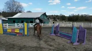 Jumping Exercise for Horse and Rider - Part II & III | Second Trip