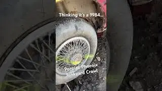 1984 Pontiac Phoenix Junkyard Crawl at iPulluPull in Edmonton.