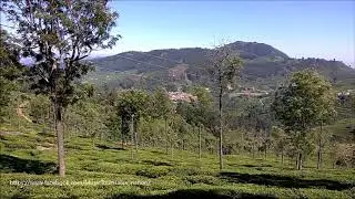 Best places to visit in India :Road trip to Ooty (Nilgiris)