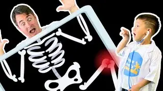 💀 There's A Skeleton Inside! 💀 | Spooky Kids Songs by Papa Joel's English