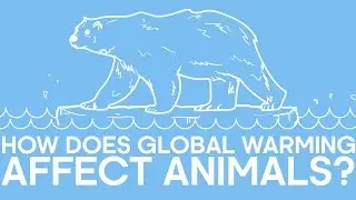 How Does Global Warming Affect Animals? | BBC Earth Explore