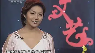 CCTV4 noevent 20120604 223122 #1