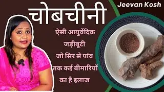 चोबचीनी, क्या है ये चमत्कारी दर्द निवारक आयुर्वेदिक जड़ीबूटी ? Chobchini Uses - Benefits Jeevan Kosh