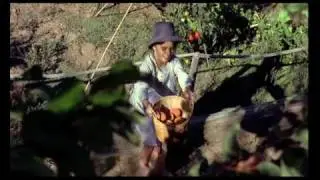 Mulino Bianco - spot Nel Mulino Che Vorrei... Flauti