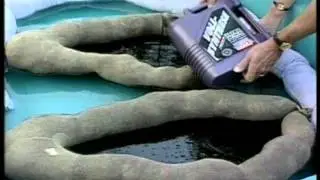 Вещи: этого не может быть (It Will Never Work Items)