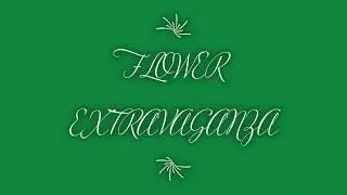 FLOWER EXTRAVAGANZA