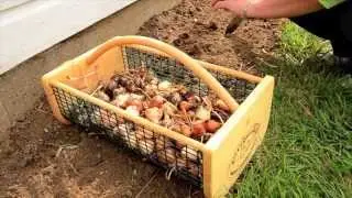 Gardeners Edge