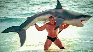 25 NEVER SEEN BEFORE MOMENTS IN SPORTS
