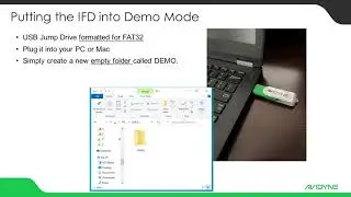 Avidyne IFD- Demo Mode