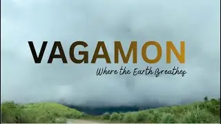 Vagamon Hills & Tea Estates | Kerala&rsquo;s Hidden Paradise | Nature, Peace & Mountains