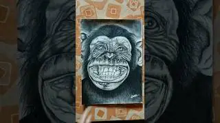 How To Draw A Realistic Monkey 🐵 Drawing | Easy Drawing ✍🏻#shortvideos #monkeydrawing #learnart