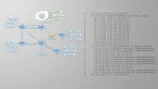 Routing Protocols and Traffic Forwarding