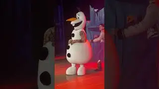 Анна и Эльза Холодное Сердце в Москве #аниматоры #frozen  #frozenelsa  #frozenanna #эльза #анна