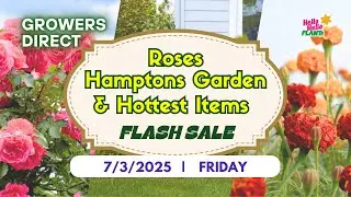 🔥 3 EPIC Live Flash Sales! Roses, Hamptons Gardens & Hottest Deals! 🌹💙🔥