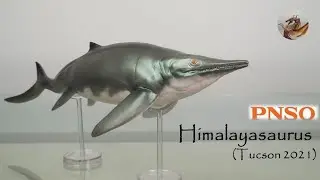 157: Обзор PNSO Himalayasaurus (Tucson 2021)