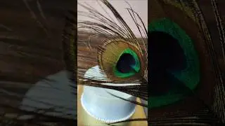 Janmashtami cake transition video😍 #shortsfeed #viralshort #trending #ytshorts #kanhaji #janmashtami