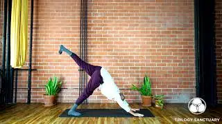 Vinyasa Yoga Flow to Energize (30 minutes) | All-Levels | Trilogy Sanctuary