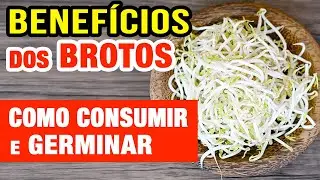 Benef&iacute;cios dos BROTOS - Como Consumir e Germinar Gr&atilde;os e Sementes