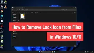 How to Remove Lock Icon from Files in Windows 10/11 (2025)