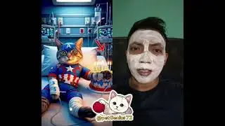 #CuteCats #ViralShorts #AnimalLovers #hero Superhero Cat&rsquo;s Birthday in Hospital 🎂 Viral Story 2025