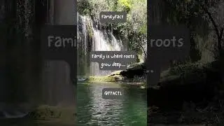 Roots of Love The Anchoring Support of Family Bonds! #FamilyRoots