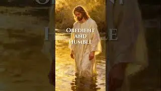 Why Would a Sinless God Choose Baptism?