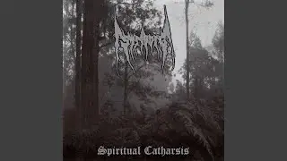 Spiritual Catharsis